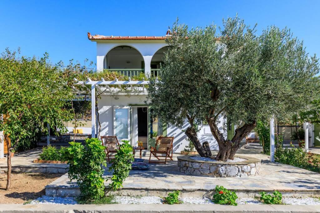 Nina-Myrtia Countryside House Skopelos Ditropo Extérieur photo